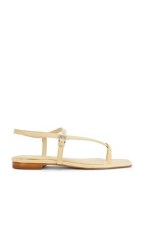 SANDALES LISA en . Taille 6. Also en 6.5, 7, 7.5, 8, 8.5, 9, 9.5, 10 - Schutz - Modalova