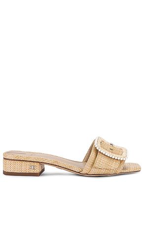 SANDALES DEACON BEAD in . Size 6, 6.5, 7, 7.5 - Sam Edelman - Modalova