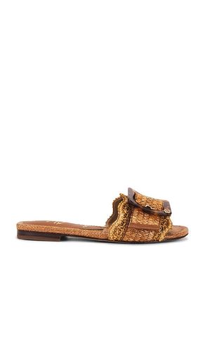 SANDALES BAMBI en . Taille 5. Also en 5.5, 6, 6.5, 7, 7.5, 8, 8.5, 9 - Sam Edelman - Modalova