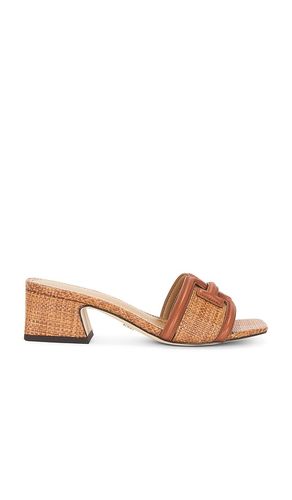 MULES WAYLON in . Size 6, 9.5 - Sam Edelman - Modalova