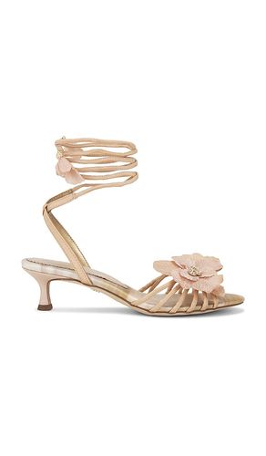 SANDALES CARLA in . Size 6.5, 7, 7.5, 8, 8.5, 9, 9.5 - Sam Edelman - Modalova