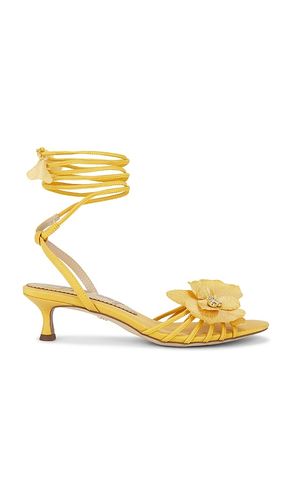 SANDALES CARLA in . Size 6, 6.5, 7, 7.5, 8, 8.5, 9, 9.5 - Sam Edelman - Modalova