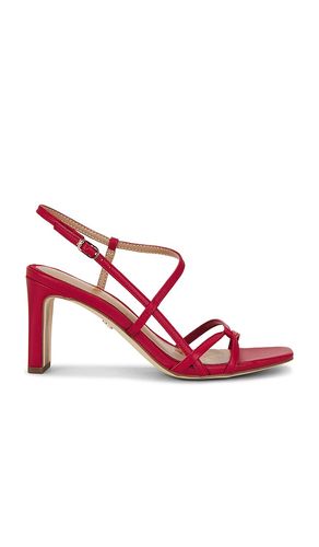 SANDALES EMMIE in . Size 5.5, 6, 6.5, 7, 7.5, 8, 8.5, 9, 9.5 - Sam Edelman - Modalova