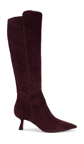 BOTTINES TAYLIN en . Taille 6. Also en 7, 7.5, 8 - Sam Edelman - Modalova
