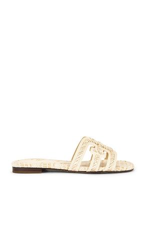 SANDALES BAY TWIST en . Taille 5.5. Also en - Sam Edelman - Modalova
