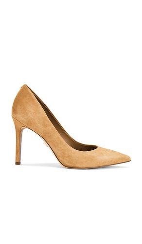 ESCARPINS HAZEL en . Taille 6. Also en 6.5, 7, 8.5 - Sam Edelman - Modalova