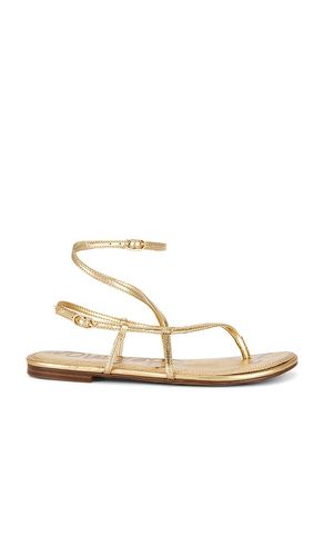 SANDALES CLARRA en . Taille 6.5. Also en 7.5, 8.5, 9, 9.5 - Sam Edelman - Modalova