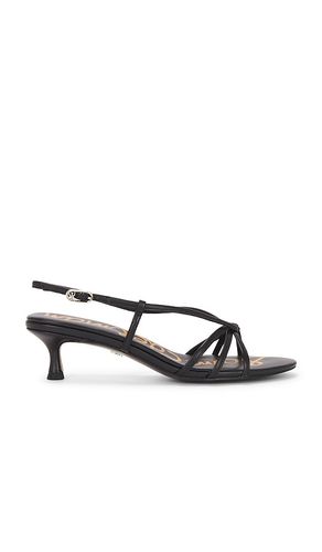 SANDALES CRESSA in . Size 8, 8.5, 9.5 - Sam Edelman - Modalova