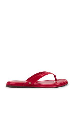 SANDALES REMI in . Size 6.5, 7, 7.5, 8, 8.5, 9 - Sam Edelman - Modalova