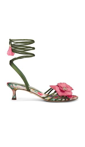 SANDALES CARLA en . Taille 6.5. Also en 7.5 - Sam Edelman - Modalova