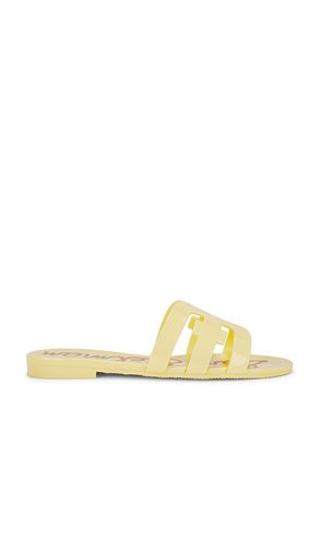 SANDALES BAY JELLY in . Size 7, 9 - Sam Edelman - Modalova