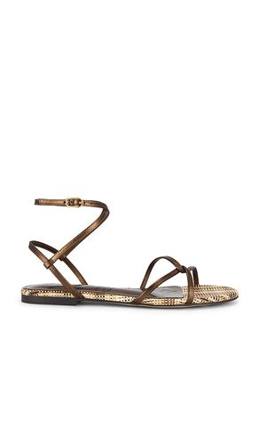 SANDALES ELLINA en , . Taille 6. Also en 6.5, 7, 7.5, 8, 8.5, 9 - Sam Edelman - Modalova