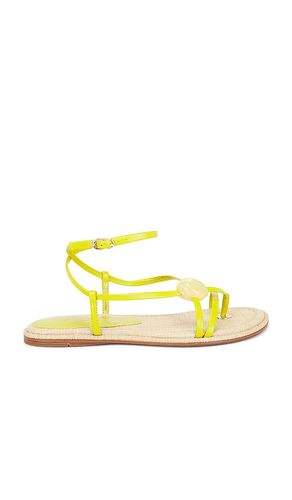SANDALES RILLIE en . Taille 10. Also en 6, 6.5, 7, 7.5, 8, 8.5, 9, 9.5 - Sam Edelman - Modalova