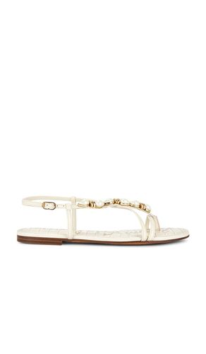 SANDALES CALLA en . Taille 6. Also en 7, 7.5, 8, 8.5, 9, 9.5 - Sam Edelman - Modalova