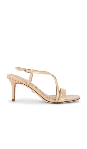 SANDALES GINNY en . Taille 10. Also en 6, 6.5, 7, 7.5, 8, 8.5, 9, 9.5 - Sam Edelman - Modalova