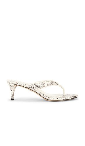 SANDALES AMIE en . Taille 6. Also en 6.5, 7, 7.5, 8, 8.5, 9, 9.5, 10 - Sam Edelman - Modalova