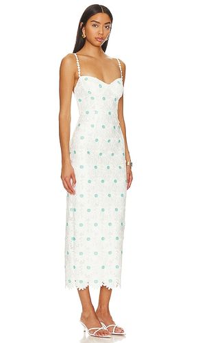 ROBE MI-LONGUE CALIBRIA en . Taille M. Also en - SAYLOR - Modalova