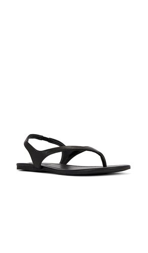 SANDALES NESSA en . Taille 38. Also en 41 - SENSO - Modalova