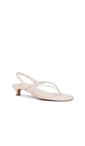 SANDALES GENESIS en . Taille 37. Also en 39, 40, 41 - SENSO - Modalova