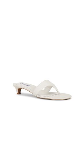 SANDALES GINTA II en . Taille 36. Also en 38, 41 - SENSO - Modalova