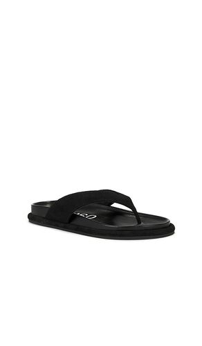 SANDALES DEVON en . Taille 38. Also en 39 - SENSO - Modalova