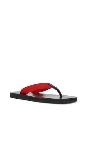 TONGS XYLON en . Taille 37. Also en 36, 38 - SENSO - Modalova