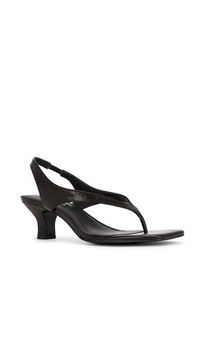 SANDALES PALLAS II en . Taille 36. Also en 38 - SENSO - Modalova