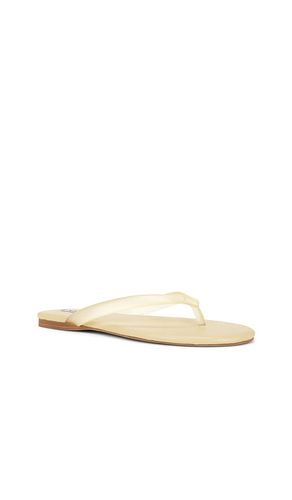 TONGS HARMONY III en . Taille 37. Also en 35, 38 - SENSO - Modalova