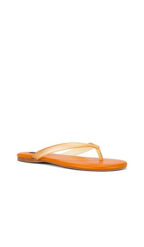 TONGS HARMONY II en . Taille 37. Also en 38, 39, 40, 41 - SENSO - Modalova