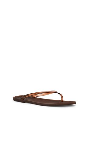 TONGS MEGAN en . Taille 38. Also en 39 - SENSO - Modalova