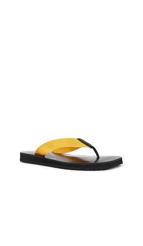 TONGS XYLON en . Taille 37. Also en 35, 38, 39 - SENSO - Modalova