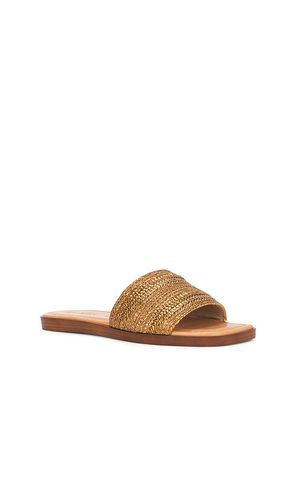 Palms Perfection Slides en . Taille 6. Also en - Seychelles - Modalova