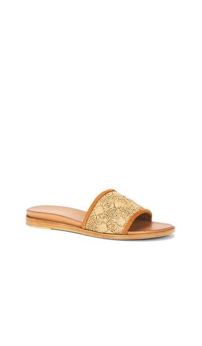 SANDALES DAKOTA en . Taille 10. Also en 6, 6.5, 7, 7.5, 8, 8.5, 9, 9.5 - Seychelles - Modalova