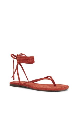 SANDALES WANDER THE WORLD en . Taille 6. Also en - Seychelles - Modalova