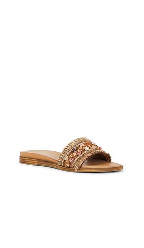 SANDALES PARADISE en . Taille 6. Also en 6.5, 7, 8.5, 9, 9.5 - Seychelles - Modalova