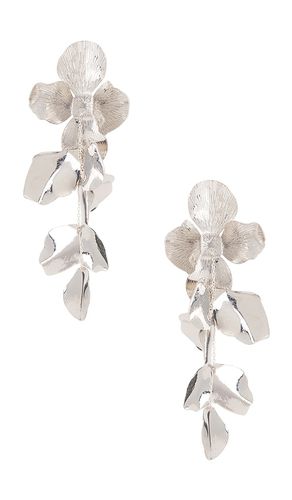 BOUCLES D'OREILLES RUELLIA in - SHASHI - Modalova