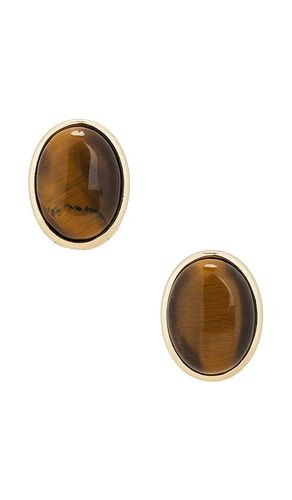 CLOUS D'OREILLES CECILLIA in - SHASHI - Modalova