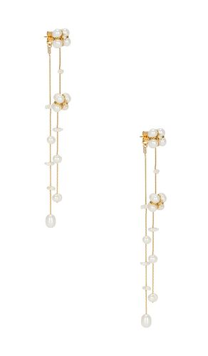 BOUCLES D'OREILLES PENDANTES JULIETTE in - SHASHI - Modalova