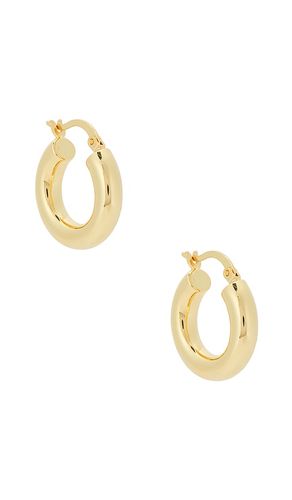 BOUCLES D'OREILLES CRÉOLE DOMINIQUE in - SHASHI - Modalova