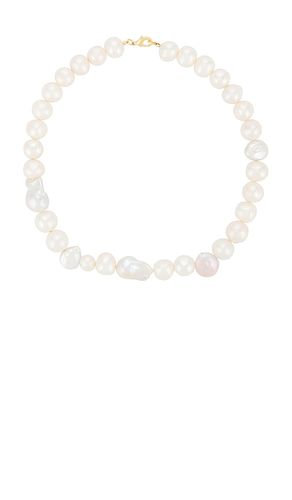 COLLIER PLASTRON PEMA en - SHASHI - Modalova