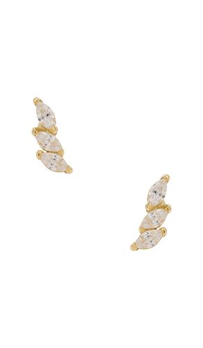 CLOUS D'OREILLES ISABELLA en - SHASHI - Modalova