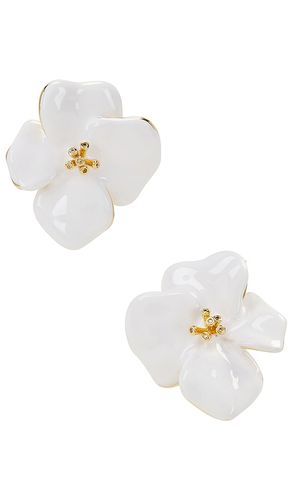 CLOUS D'OREILLES BLOMA en - SHASHI - Modalova