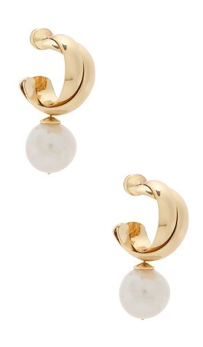 BOUCLES D'OREILLES ROSS en - SHASHI - Modalova