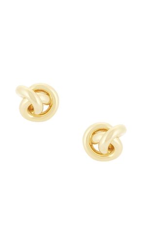 CLOUS D'OREILLES KNOT en - SHASHI - Modalova