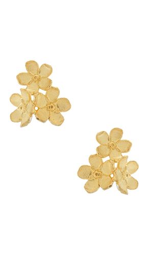 CLOUS D'OREILLES CHINOISERIE en - SHASHI - Modalova