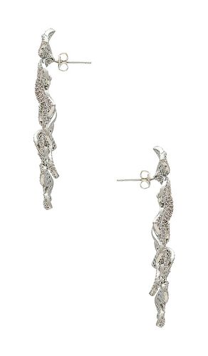 BOUCLES D'OREILLES ALYSSA en - SHASHI - Modalova