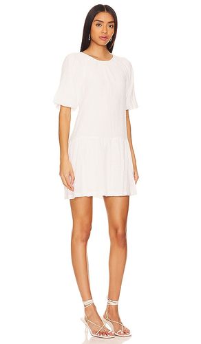 ROBE ABRAH en . Taille S. Also en XS - Steve Madden - Modalova