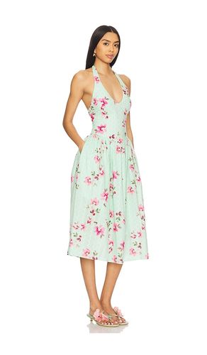 ROBE RESSI en . Taille L. Also en XL - Steve Madden - Modalova