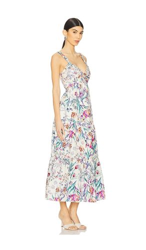 ROBE MI-LONGUE ELIORA en ,. Taille M. Also en L - Steve Madden - Modalova
