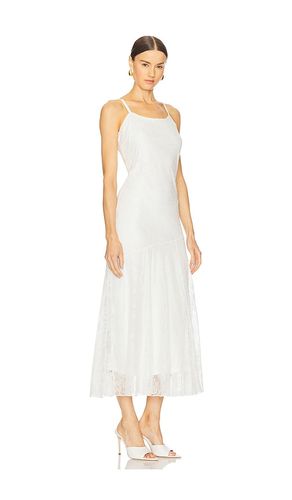 ROBE VEERA en . Taille M. Also en S, XS - Steve Madden - Modalova